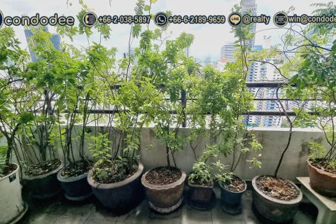 Condo in Watthana, Bangkok, Thailand, 3 bedrooms № 201102 - photo 7