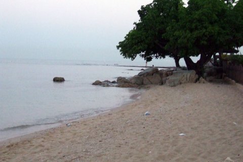 Condominio de 2 dormitorios en Pattaya, Tailandia № 242758 - foto 8
