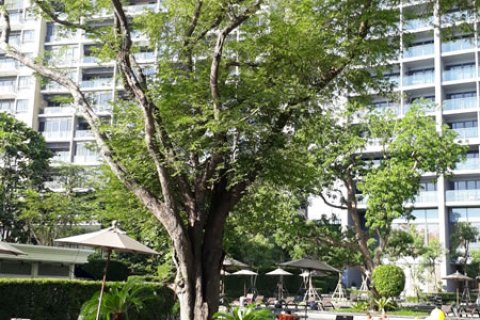 Condominio de 1 dormitorio en Pattaya, Tailandia № 242460 - foto 16