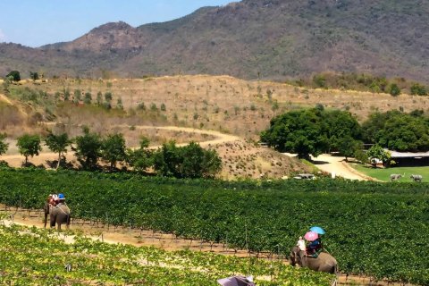 Casa de 5 dormitorios en Hua Hin, Tailandia № 180512 - foto 21
