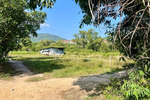 Grundstück in Ko Samui, Thailand 1600 m2 № 244979