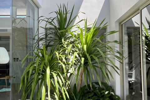 Casa de 4 dormitorios en Bang Tao, Tailandia № 99461 - foto 6