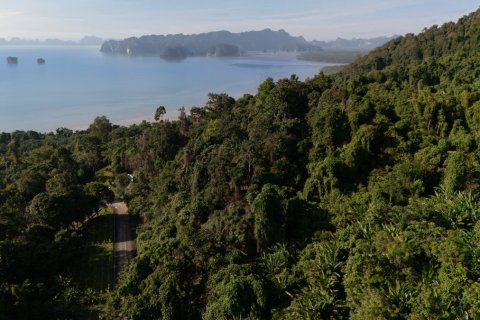 Terreno 15144 m2 en Krabi, Tailandia № 153761 - foto 11