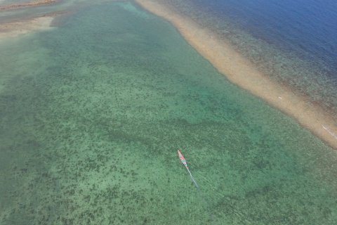 Terrain à Koh Pha Ngan, Thaïlande 1707 m2 № 202061 - photo 16