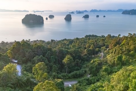 Land in Krabi, Thailand 15144 sq.m. № 153761