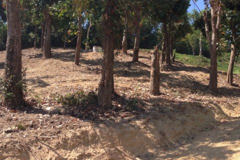 Terreno 5284 m2 en Wichit, Tailandia № 153780 - foto 9