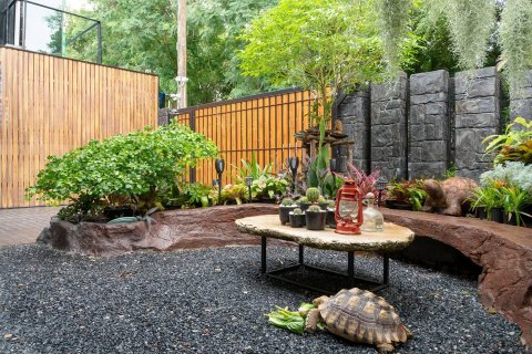 Propiedad 300 m2 en Rawai, Tailandia № 144626 - foto 15
