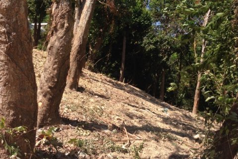 Terreno 5284 m2 en Wichit, Tailandia № 153780 - foto 11