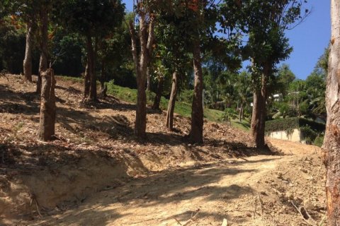 Terreno 5284 m2 en Wichit, Tailandia № 153780 - foto 12