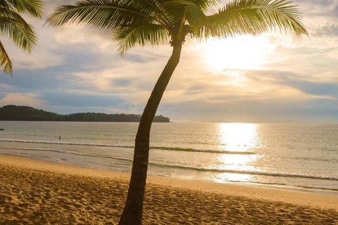 Experts named the best areas in Phuket for real estate investment