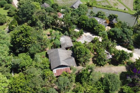 Terreno en Mae Rim, Tailandia № 205627 - foto 3