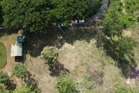 Terreno en Chiang Mai, Tailandia № 205628 - foto 3