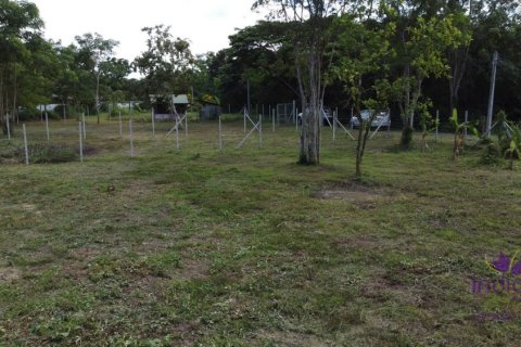 Terreno en Chiang Mai, Tailandia № 205628 - foto 10