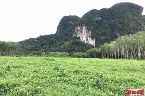 Terrain à Krabi, Thaïlande 26809600 m2 № 193861 - photo 5