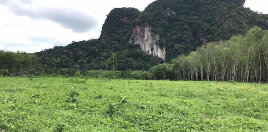 Terrain à Krabi, Thaïlande 26809600 m2 № 193861