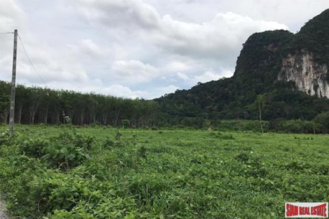 Terrain à Krabi, Thaïlande 26809600 m2 № 193861 - photo 4
