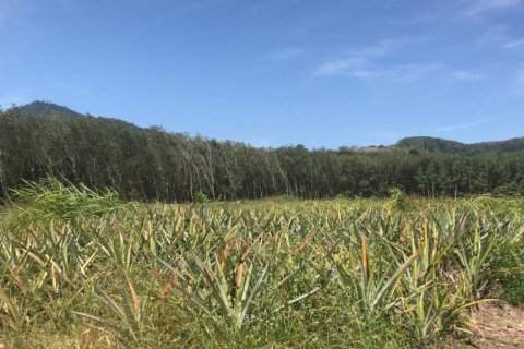 Terreno en Rayong, Tailandia № 172825 - foto 2