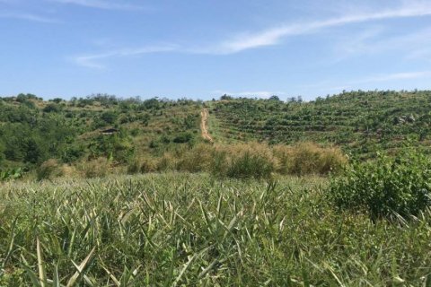 Terreno en Rayong, Tailandia № 172825