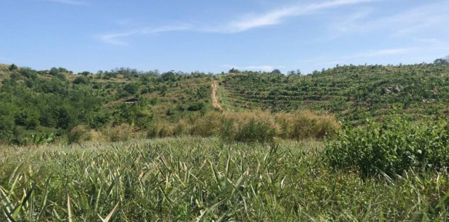 Terreno en Rayong, Tailandia № 172825