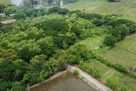 Terreno en Chiang Mai, Tailandia № 205616 - foto 9
