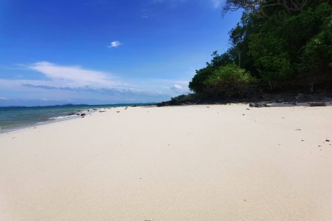 Terreno en Ko Kaeo, Tailandia № 180682 - foto 6