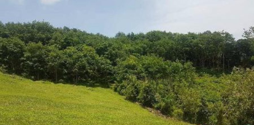 Terreno 4800 m2 en Ko Lanta Yai, Tailandia № 202617