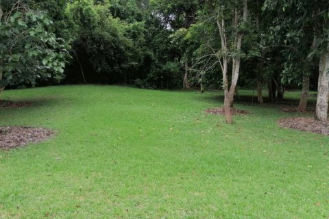 Terreno en Chiang Rai, Tailandia № 172772 - foto 7