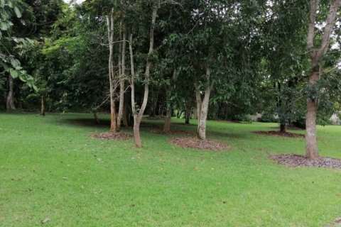 Terreno en Chiang Rai, Tailandia № 172772 - foto 8