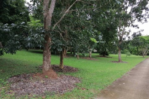 Terreno en Chiang Rai, Tailandia № 172772 - foto 5