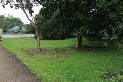 Terreno en Chiang Rai, Tailandia № 172772 - foto 4