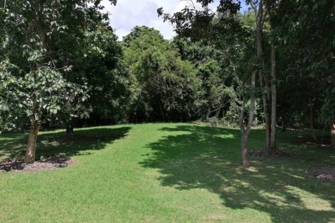 Terreno en Chiang Rai, Tailandia № 172772 - foto 10