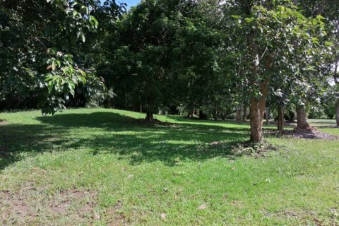 Terreno en Chiang Rai, Tailandia № 172772 - foto 6