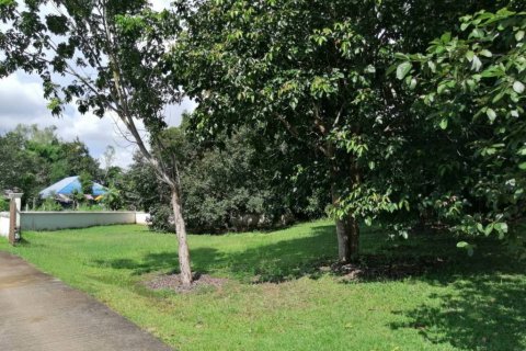 Terreno en Chiang Rai, Tailandia № 172772