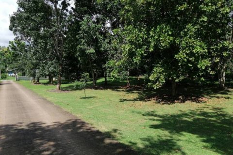 Terreno en Chiang Rai, Tailandia № 172772 - foto 3