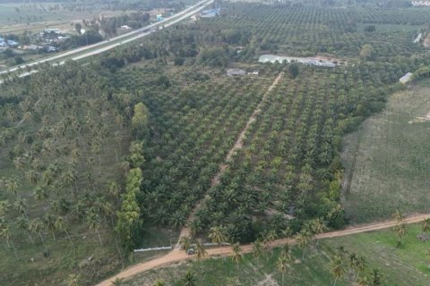 Terreno en Pattaya, Tailandia № 172756 - foto 2