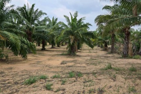 Terreno en Pattaya, Tailandia № 172756 - foto 3