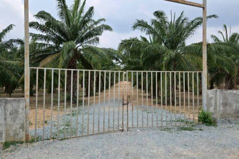 Terreno en Pattaya, Tailandia № 172756 - foto 5