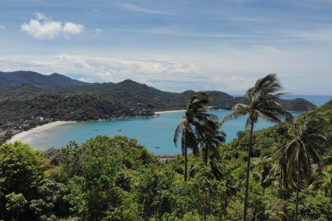 Terreno 8000 m2 en Koh Pha Ngan, Tailandia № 65909 - foto 6