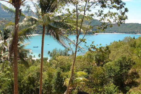 Terreno 8000 m2 en Koh Pha Ngan, Tailandia № 65909 - foto 3