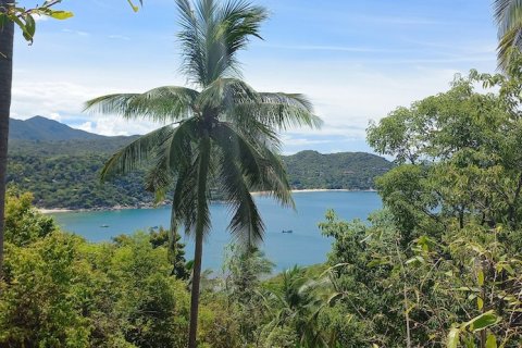 Terreno 8000 m2 en Koh Pha Ngan, Tailandia № 65909 - foto 4