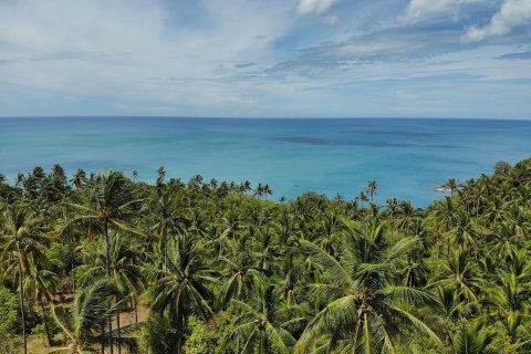 Terreno 8000 m2 en Koh Pha Ngan, Tailandia № 65909 - foto 1