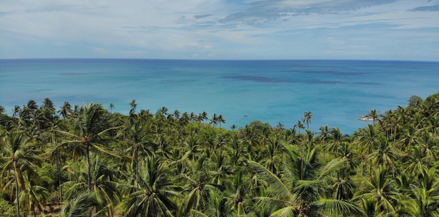 Terreno 8000 m2 en Koh Pha Ngan, Tailandia № 65909