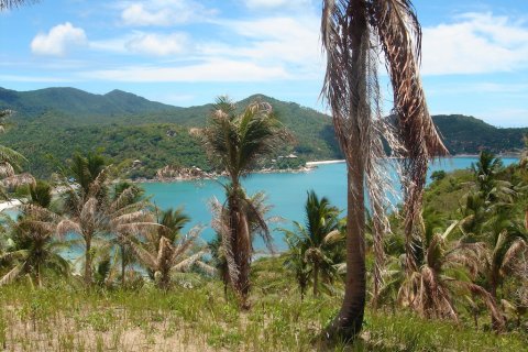 Terreno 8000 m2 en Koh Pha Ngan, Tailandia № 65909 - foto 2