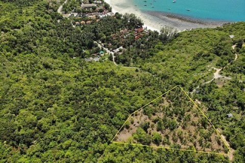 Terreno 8000 m2 en Koh Pha Ngan, Tailandia № 65909 - foto 5