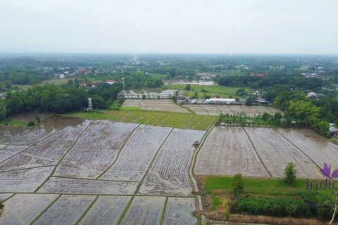 Terreno en Chiang Mai, Tailandia № 202221 - foto 8