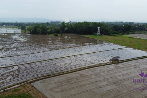 Terreno en Chiang Mai, Tailandia № 202221 - foto 14