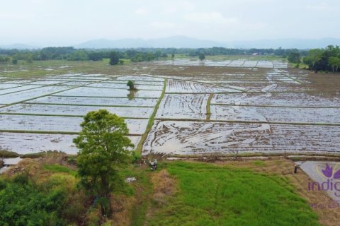 Terreno en Chiang Mai, Tailandia № 202221 - foto 13