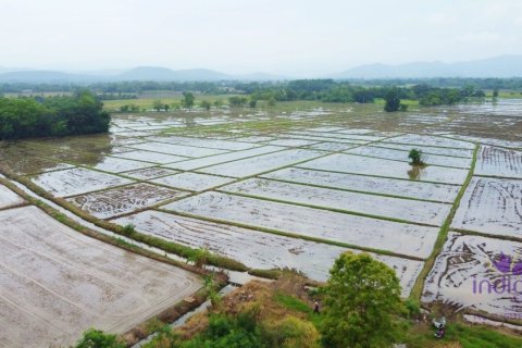 Terreno en Chiang Mai, Tailandia № 202221 - foto 15