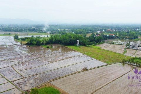 Terreno en Chiang Mai, Tailandia № 202221