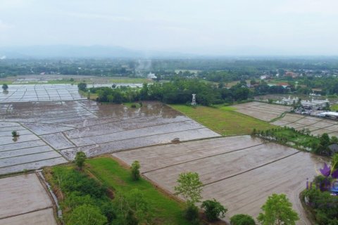 Terreno en Chiang Mai, Tailandia № 202221 - foto 6